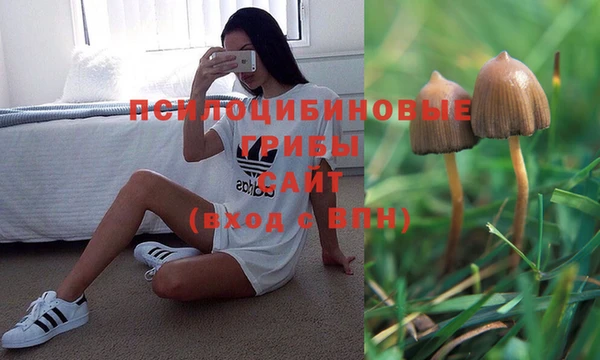 альфа пвп Белокуриха