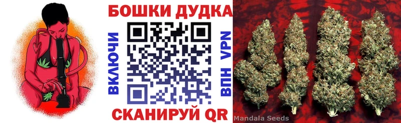 Бошки марихуана план  Оха 